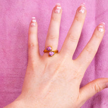 Load image into Gallery viewer, Double Stone Titanium Ring