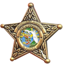 Load image into Gallery viewer, BFP-013 Polk County Florida Deputy Sheriff Lapel Pin Grady Judd