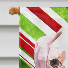 Load image into Gallery viewer, Cooper Candy Stripe Boxer Christmas Flag Canvas House Size RDR3002CHF