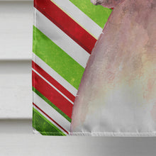 Load image into Gallery viewer, Cooper Candy Stripe Boxer Christmas Flag Canvas House Size RDR3002CHF
