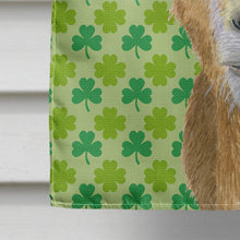 Load image into Gallery viewer, St Patrick's Day Goat Flag Canvas House Size RDR3025CHF