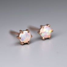 Load image into Gallery viewer, Round Six Prong Australian Solid Opal Stud Earrings 14K Rose Gold