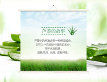 Load image into Gallery viewer, BIOAQUA Aloe Vera Face Cream Moisturizing Deep Hydrating Day Cream Plant Essence Nourishing Refresh Skin Care