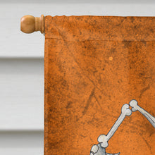 Load image into Gallery viewer, Skeleton jumping from Witches Caldron Halloween Flag Canvas House Size