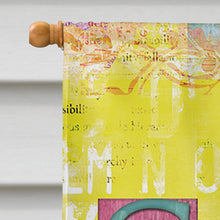 Load image into Gallery viewer, Artsy SALE Flag Canvas House Size SB3098CHF