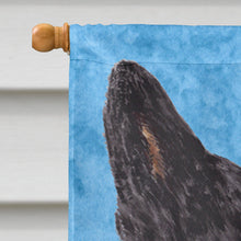 Load image into Gallery viewer, Australian Cattle Dog Flag Canvas House Size