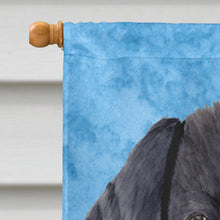 Load image into Gallery viewer, Labrador Flag Canvas House Size