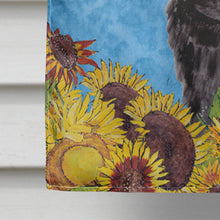 Load image into Gallery viewer, Pug Flag Canvas House Size