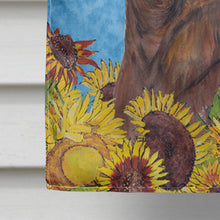 Load image into Gallery viewer, Dachshund Flag Canvas House Size
