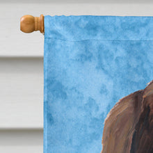 Load image into Gallery viewer, Welsh Springer Spaniel Flag Canvas House Size