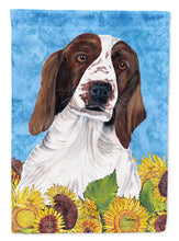 Load image into Gallery viewer, Welsh Springer Spaniel Flag Canvas House Size