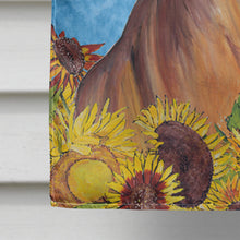 Load image into Gallery viewer, Vizsla Flag Canvas House Size