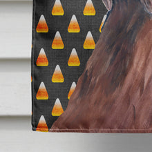 Load image into Gallery viewer, Labrador Chocolate Candy Corn Halloween Flag Canvas House Size