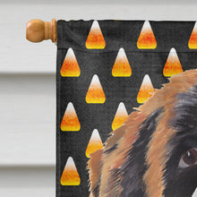 Load image into Gallery viewer, Saint Bernard Candy Corn Halloween Portrait Flag Canvas House Size