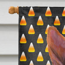 Load image into Gallery viewer, Basenji Candy Corn Halloween Portrait Flag Canvas House Size