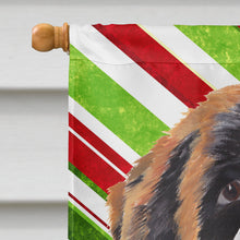 Load image into Gallery viewer, Saint Bernard Candy Cane Holiday Christmas Flag Canvas House Size
