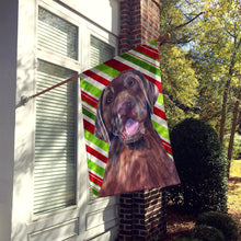 Load image into Gallery viewer, Labrador Candy Cane Holiday Christmas Flag Canvas House Size