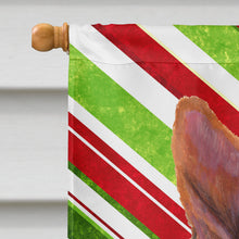 Load image into Gallery viewer, Basenji Candy Cane Holiday Christmas Flag Canvas House Size
