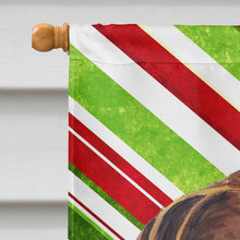 Load image into Gallery viewer, German Shorthaired Pointer Candy Cane Holiday Christmas Flag Canvas House Size