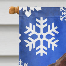 Load image into Gallery viewer, Welsh Springer Spaniel Winter Snowflakes Flag Canvas House Size