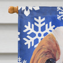 Load image into Gallery viewer, Cavalier Spaniel Winter Snowflakes Holiday Flag Canvas House Size