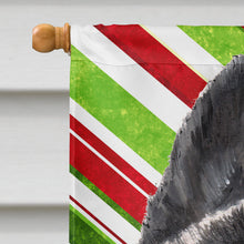 Load image into Gallery viewer, Akita Candy Cane Holiday Christmas Flag Canvas House Size SC9480CHF