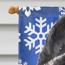 Load image into Gallery viewer, Akita Winter Snowflakes Holiday Flag Canvas House Size SC9481CHF