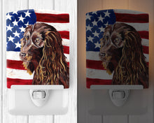 Load image into Gallery viewer, Boykin Spaniel with American Flag Ceramic Night Light SC9518CNL