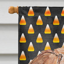 Load image into Gallery viewer, English Foxhound Halloween Candy Corn Flag Canvas House Size
