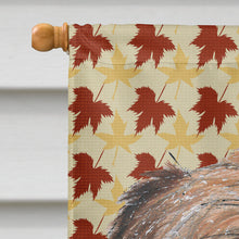 Load image into Gallery viewer, Brussels Griffon Fall Leaves Flag Canvas House Size