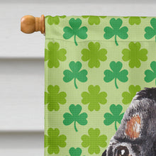 Load image into Gallery viewer, Coonhound St Patrick's Irish Flag Canvas House Size