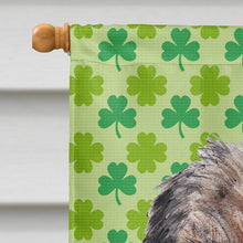 Load image into Gallery viewer, Border Terrier St Patrick's Irish Flag Canvas House Size