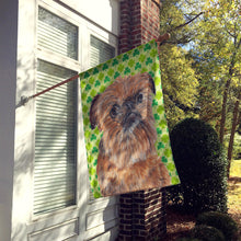Load image into Gallery viewer, Brussels Griffon St Patrick's Irish Flag Canvas House Size