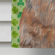 Load image into Gallery viewer, Brussels Griffon St Patrick's Irish Flag Canvas House Size