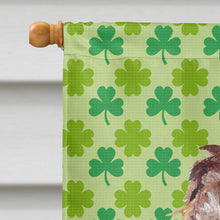 Load image into Gallery viewer, Boykin Spaniel St Patrick's Irish Flag Canvas House Size