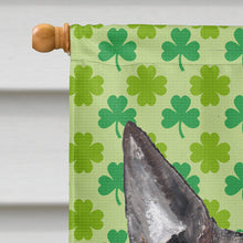 Load image into Gallery viewer, Bull Terrier St Patrick's Irish Flag Canvas House Size