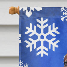 Load image into Gallery viewer, Irish Setter Blue Snowflake Winter Flag Canvas House Size