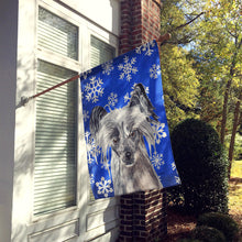 Load image into Gallery viewer, Chinese Crested Blue Snowflake Winter Flag Canvas House Size