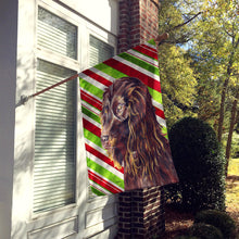 Load image into Gallery viewer, Boykin Spaniel Candy Cane Christmas Flag Canvas House Size