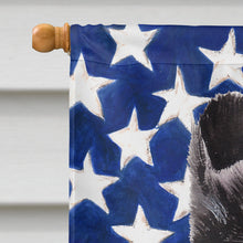 Load image into Gallery viewer, Black and White Collie with American Flag USA Flag Canvas House Size SC9630CHF