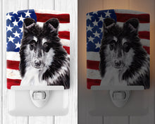 Load image into Gallery viewer, Black and White Collie with American Flag USA Ceramic Night Light SC9630CNL