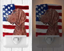 Load image into Gallery viewer, Redbone Coonhound with American Flag USA Ceramic Night Light SC9635CNL