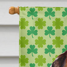 Load image into Gallery viewer, Norfolk Terrier Puppy Lucky Shamrock St. Patrick's Day Flag Canvas House Size SC9735CHF