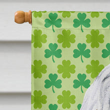 Load image into Gallery viewer, Havanese Lucky Shamrock St. Patrick's Day Flag Canvas House Size SC9737CHF