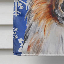 Load image into Gallery viewer, Collie Winter Snowflakes Flag Canvas House Size SC9766CHF