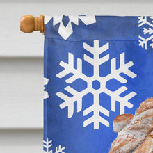 Load image into Gallery viewer, Shar Pei Winter Snowflakes Flag Canvas House Size SC9767CHF