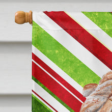 Load image into Gallery viewer, Shar Pei Candy Cane Christmas Flag Canvas House Size SC9791CHF