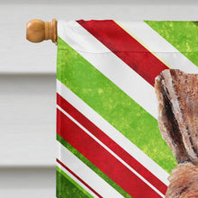 Load image into Gallery viewer, Wire Fox Terrier Candy Cane Christmas Flag Canvas House Size SC9796CHF