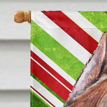 Load image into Gallery viewer, Staffordshire Bull Terrier Staffie Candy Cane Christmas Flag Canvas House Size SC9800CHF
