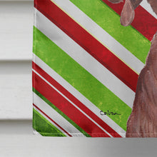 Load image into Gallery viewer, Redbone Coonhound Candy Cane Christmas Flag Canvas House Size SC9803CHF